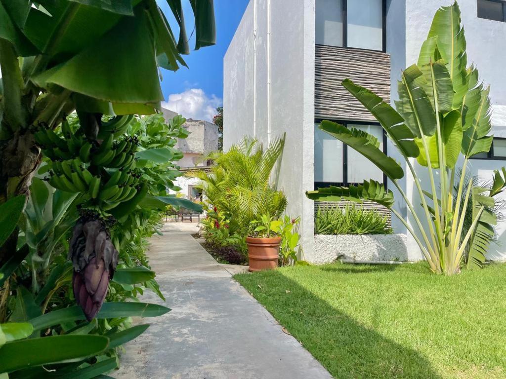 Apartament Aldeazul By Andiani Travel Cancún Zewnętrze zdjęcie